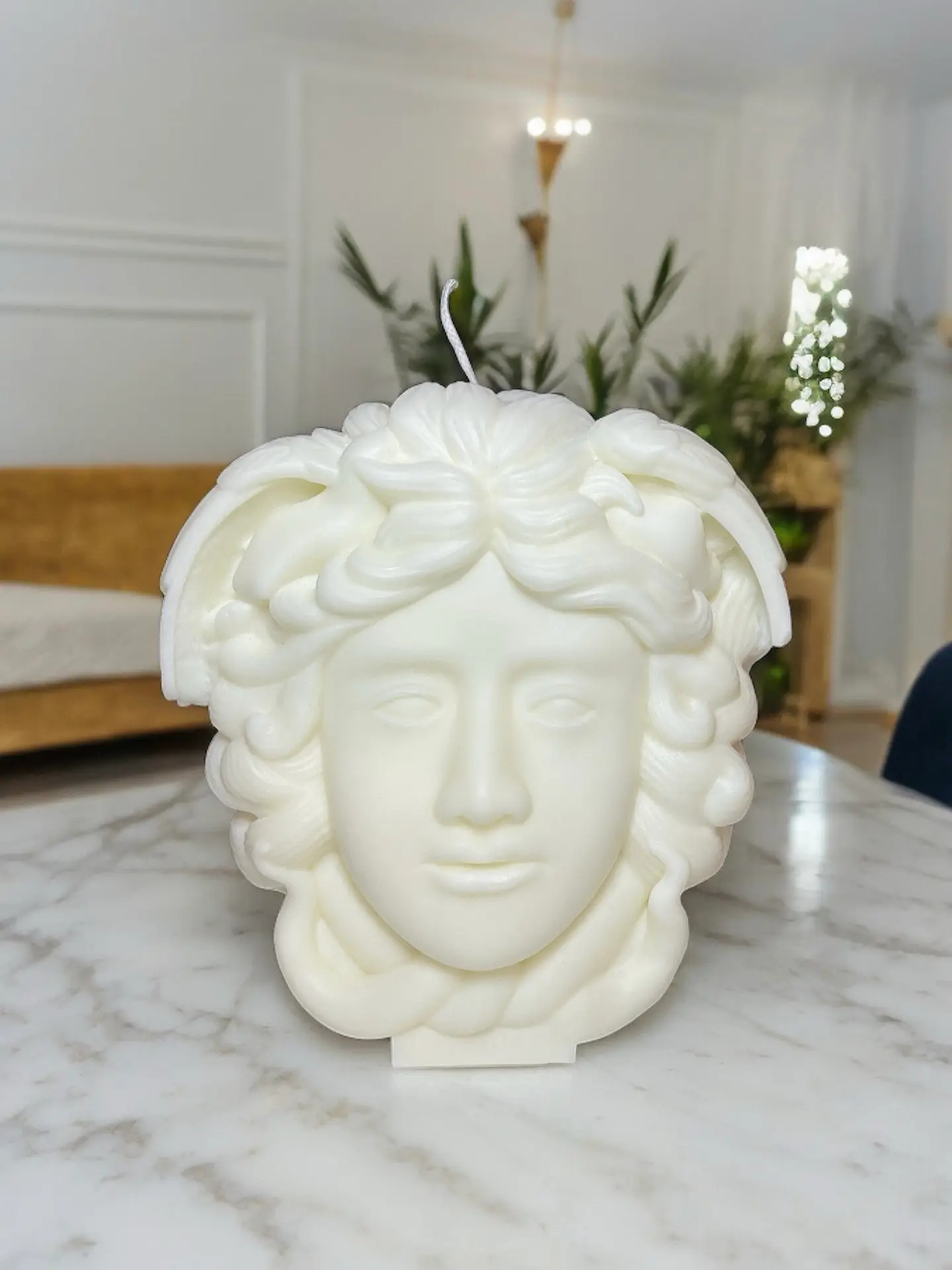 Vela Medusa