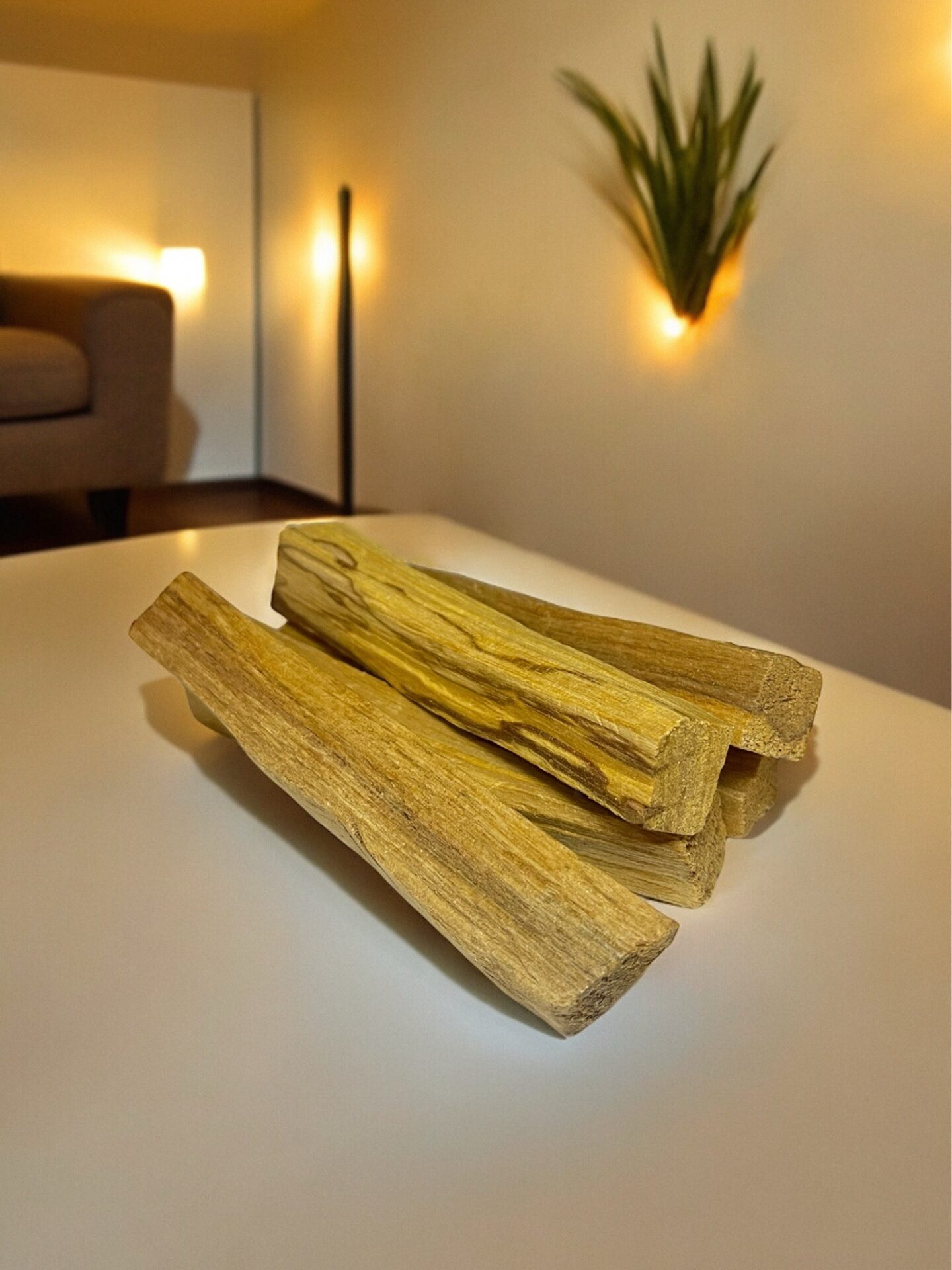 Palosanto